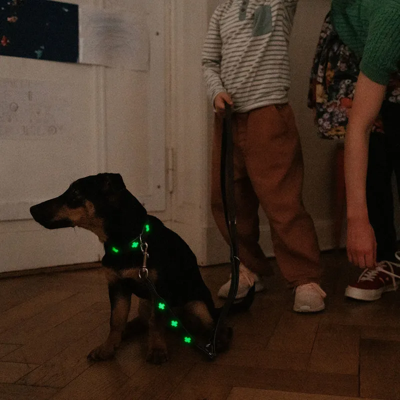 Verstellbare Führleine Swiss Glow