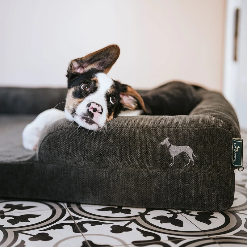 Orthopädisches/Ergonomisches Hundesofa Melun