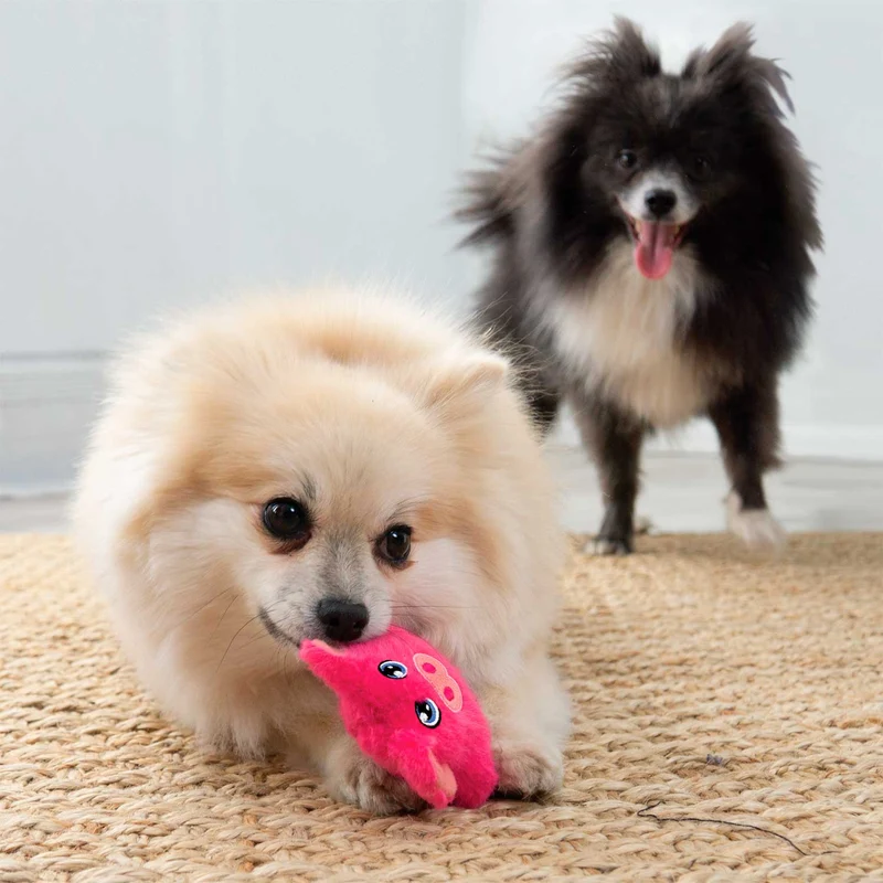 Hundespielzeug KONG® Snuzzles Mini