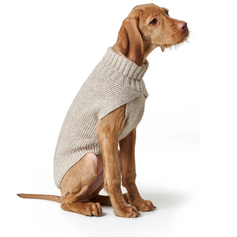 Hundepullover Genf