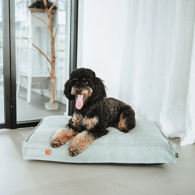 Recycling Hundekissen Belluno