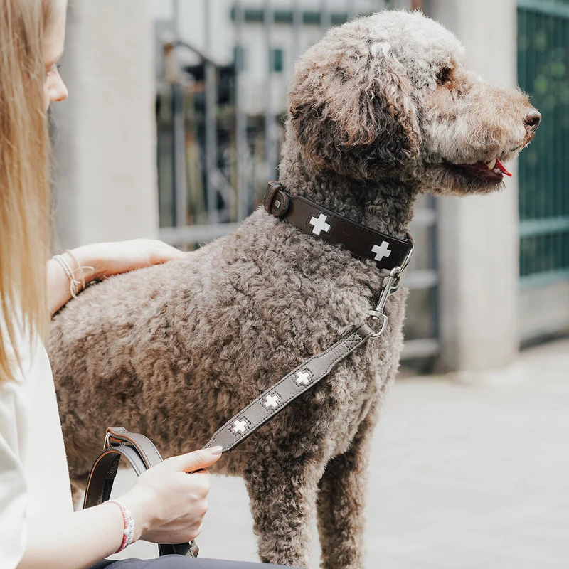 Verstellbare Führleine Swiss