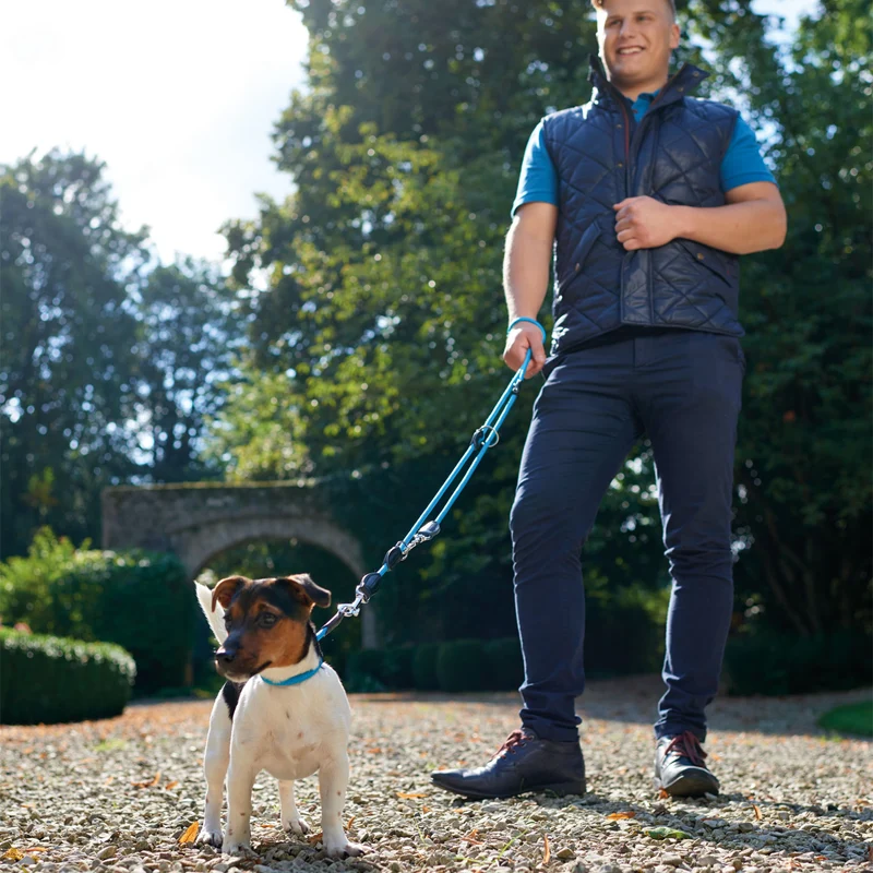 Dressurhalsung Freestyle