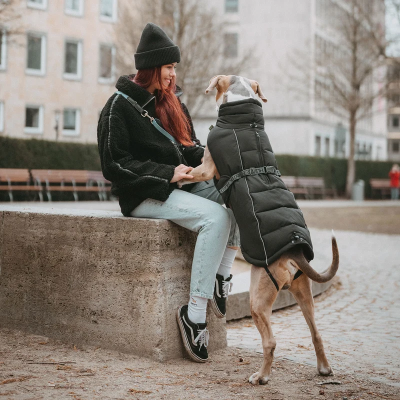 Hundemantel Paxson