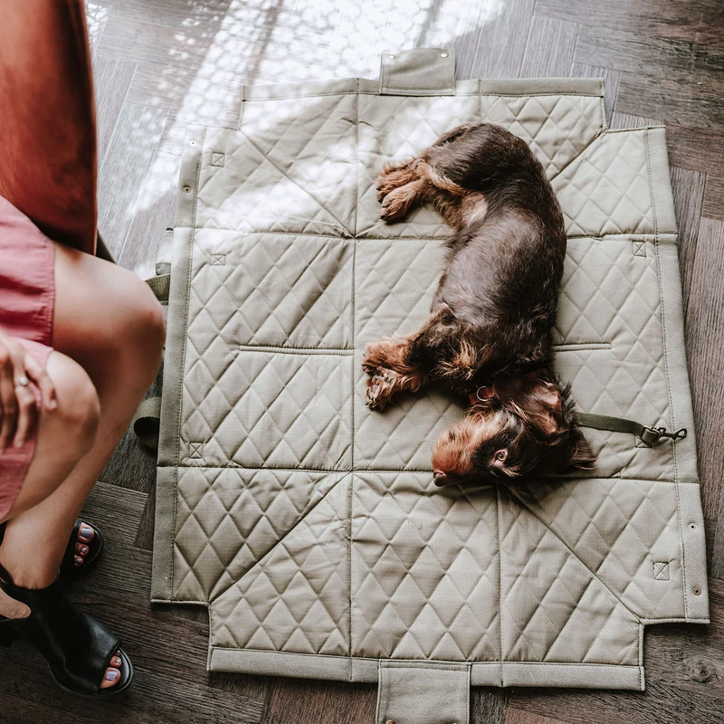 Tragetasche & Hundedecke Madison