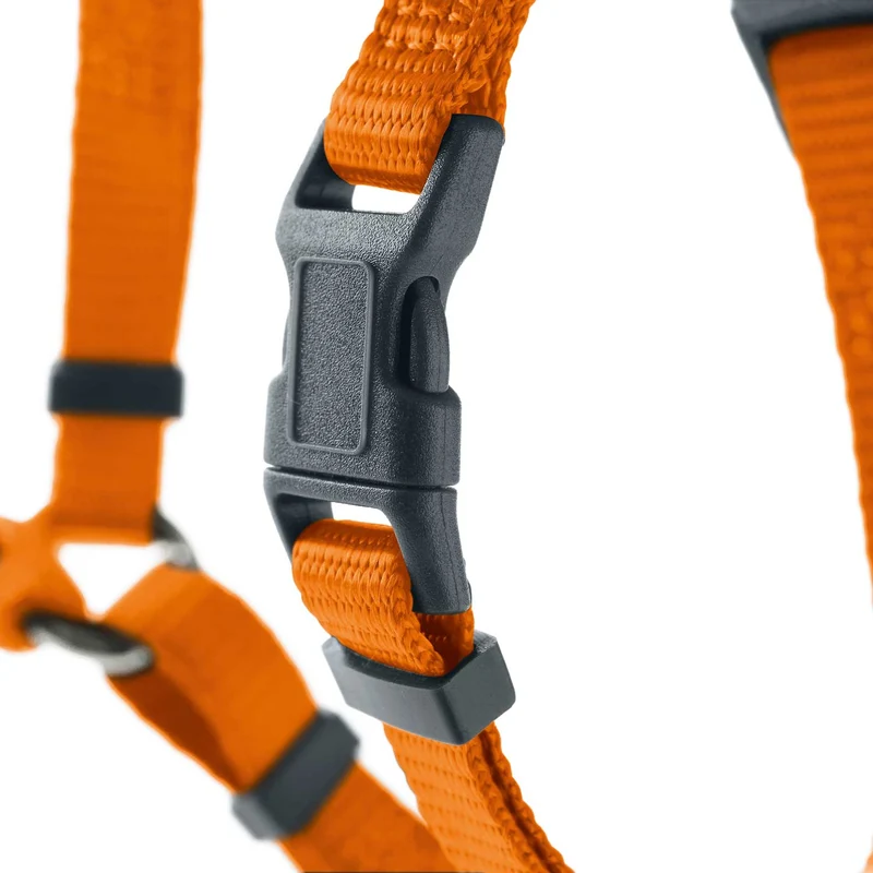 Geschirr London Vario Rapid