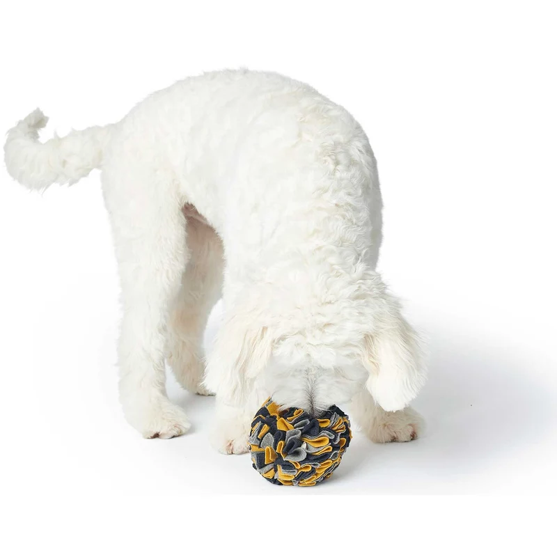 Hundespielzeug Schnüffelball Eiby