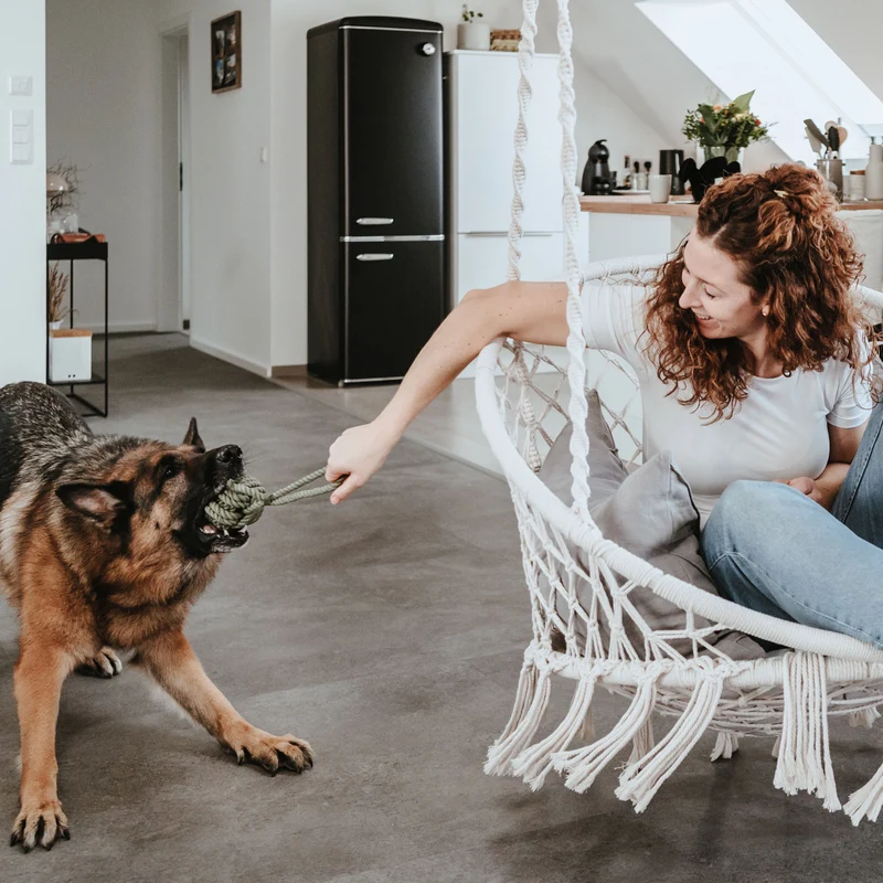 Hundespielzeug Inari