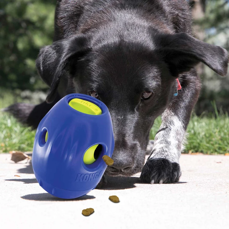 Hundespielzeug KONG® Tikr