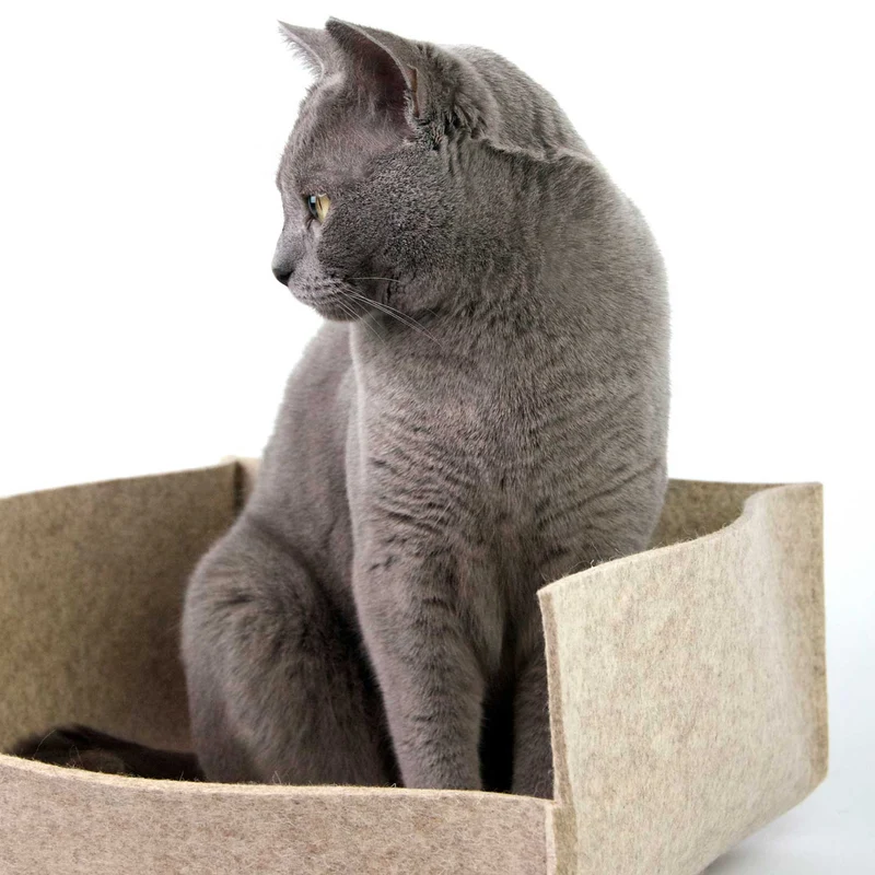 Katzenbett Groovie geschlossen