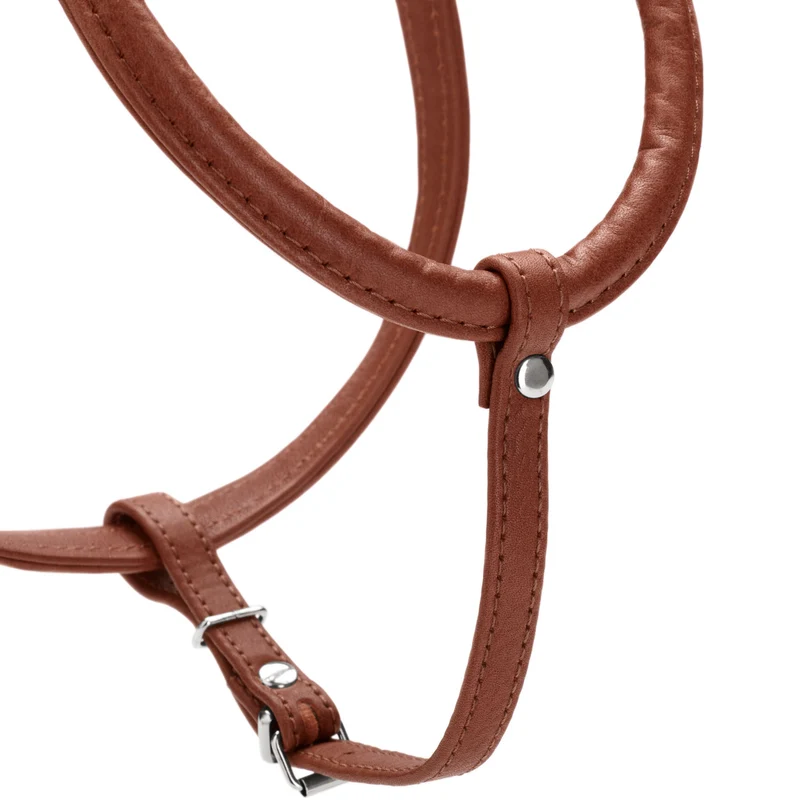 Geschirr Round & Soft Canadian Up