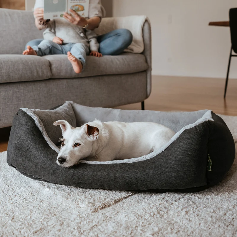 Orthopädisches/Ergonomisches Hundesofa Rockford