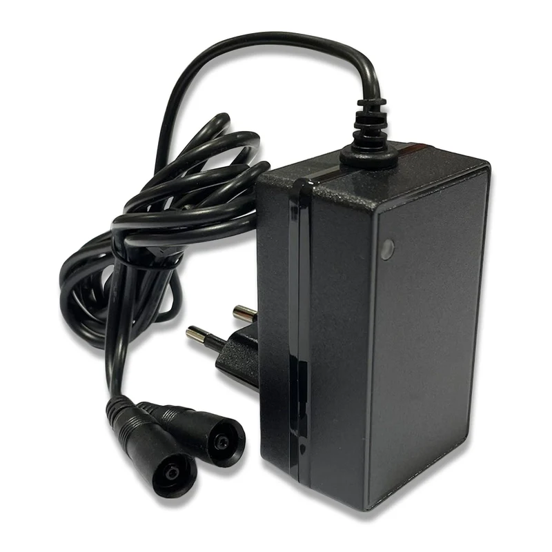 CARICABATTERIA PER BATTERIA 12V