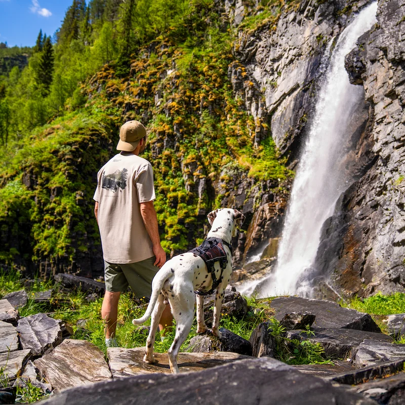 Unleash the adventure t-shirt men's