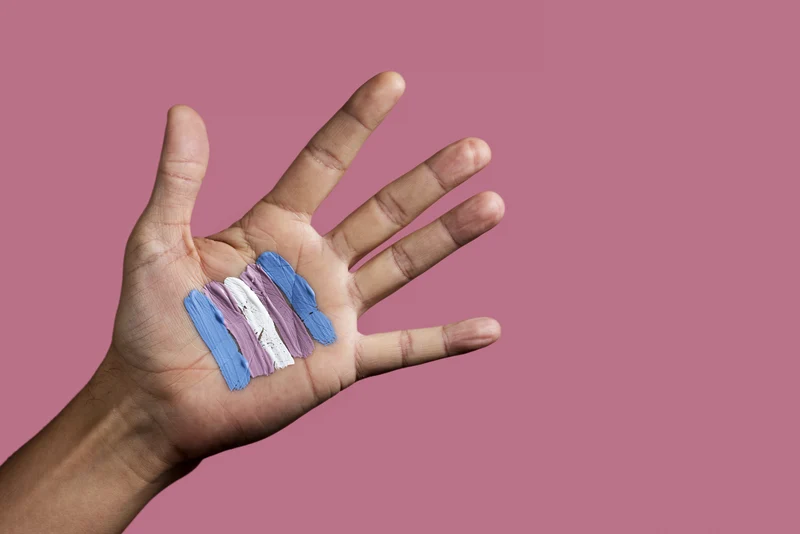 Behandlungsstandards Transgender - Thema Hormone