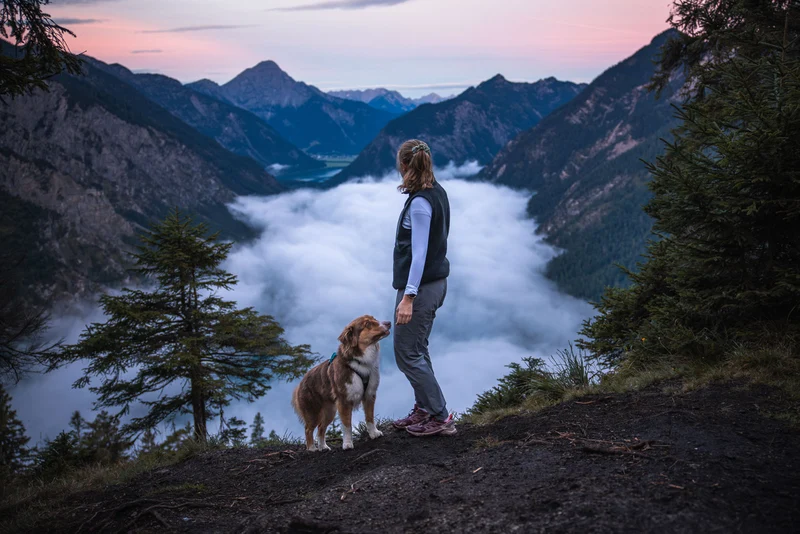 Trail quest pants W