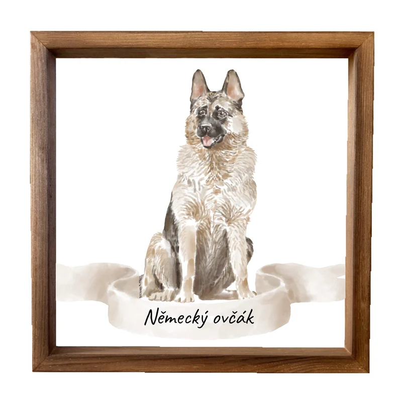 Dřevěný obraz 33x33cm - Německý ovčák