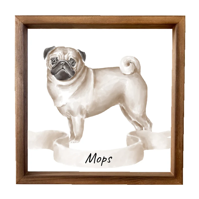 Dřevěný obraz 33x33cm - Mops
