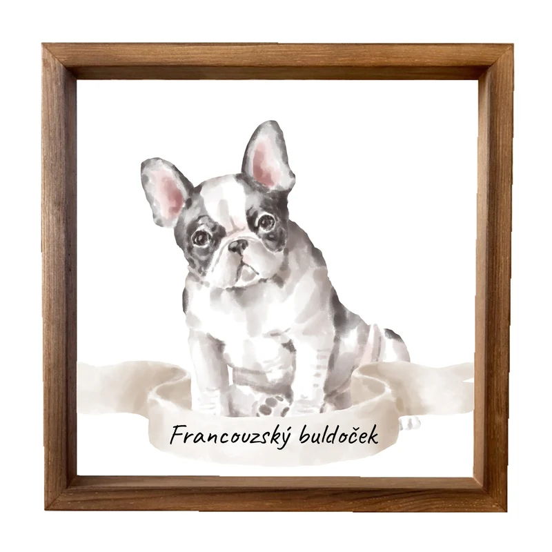 Dřevěný obraz 33x33cm - Francouzský buldoček