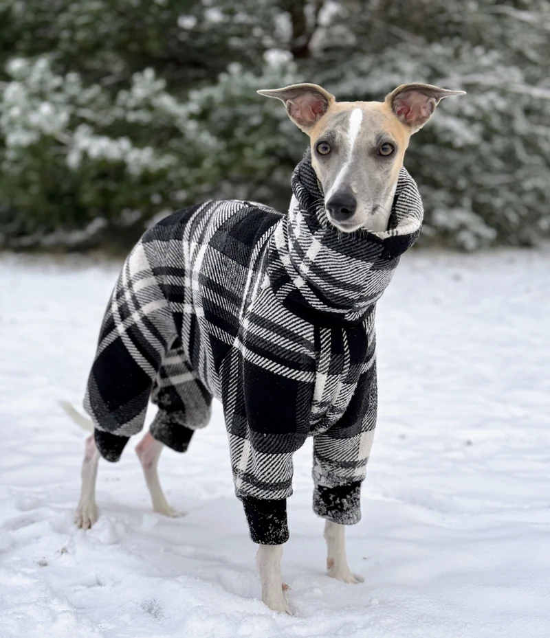 Gefütterter Winter Overall mit Wollanteil für Hunde mit Breiter Brust und Schmaler Taille
