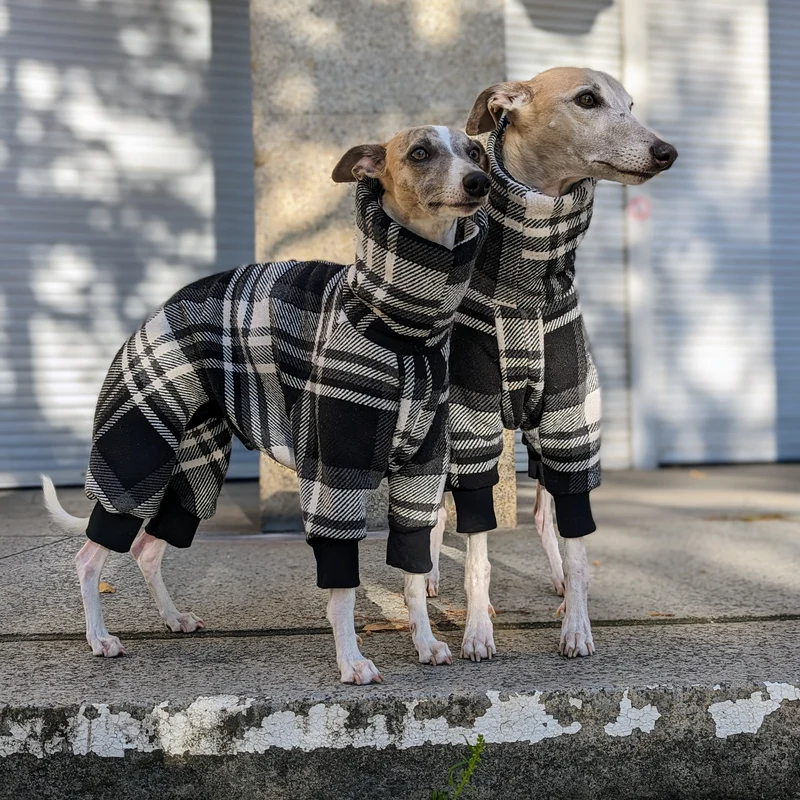 Gefütterter Winter Overall mit Wollanteil für Hunde mit Breiter Brust und Schmaler Taille