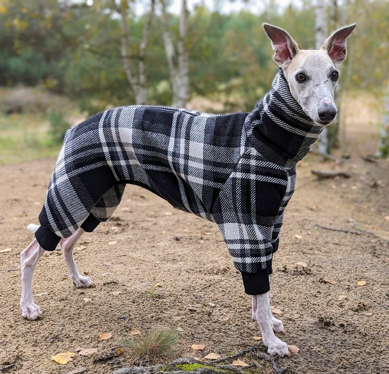 Gefütterter Winter Overall mit Wollanteil für Hunde mit Breiter Brust und Schmaler Taille