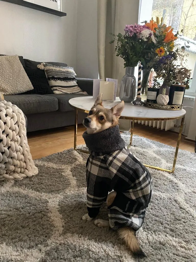 Gefütterter Winter Overall mit Wollanteil für Hunde mit Breiter Brust und Schmaler Taille
