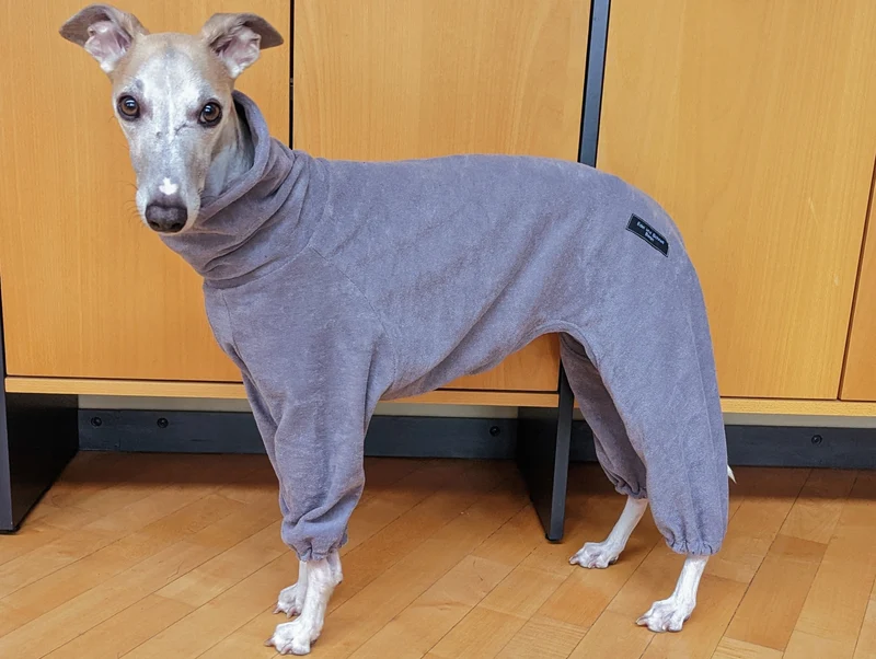 Bademantel Frottee Windhunde Ridgeback Overall in grau zum Aufwärmen
