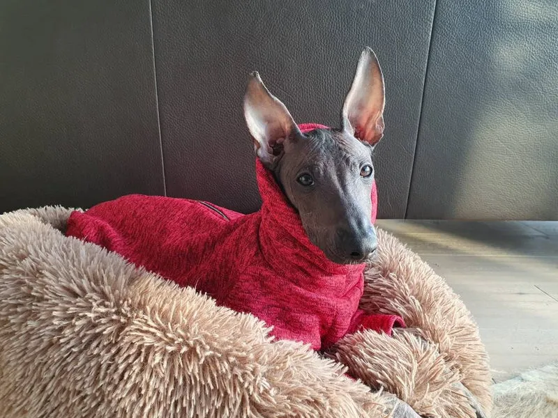 Warmer Overall in vielen Farben aus Fleece mit Reißverschluss perfekt für die Übergangszeit