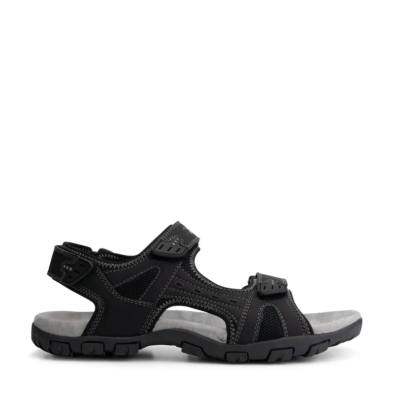 Horten Black