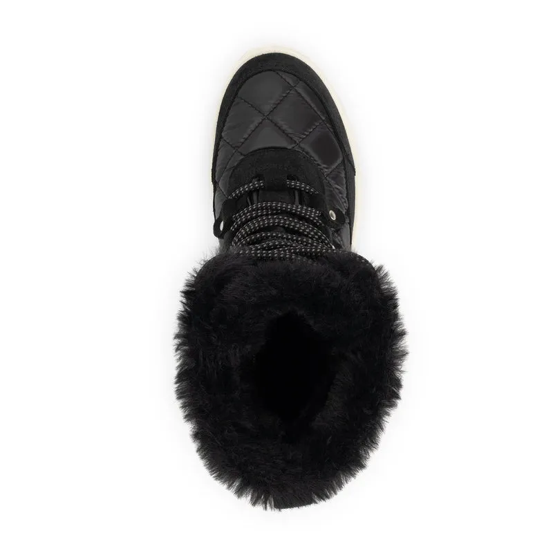 Davos Black
