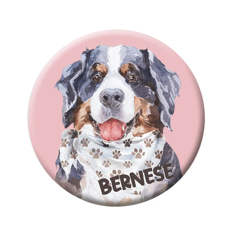 Button (placka) se špendlíkem 44 mm – Bernese