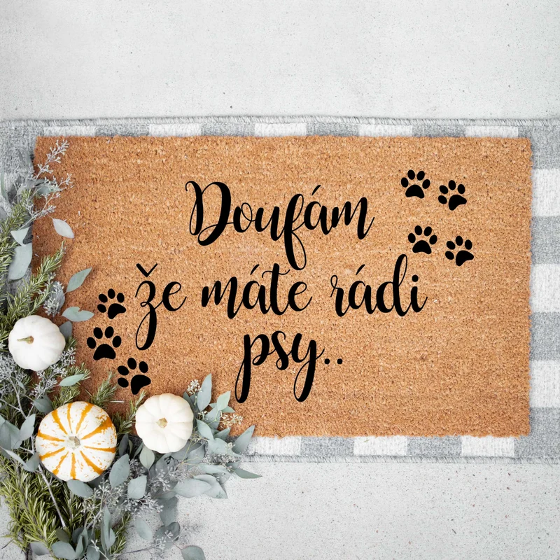 Rohožka Chlupy Všude