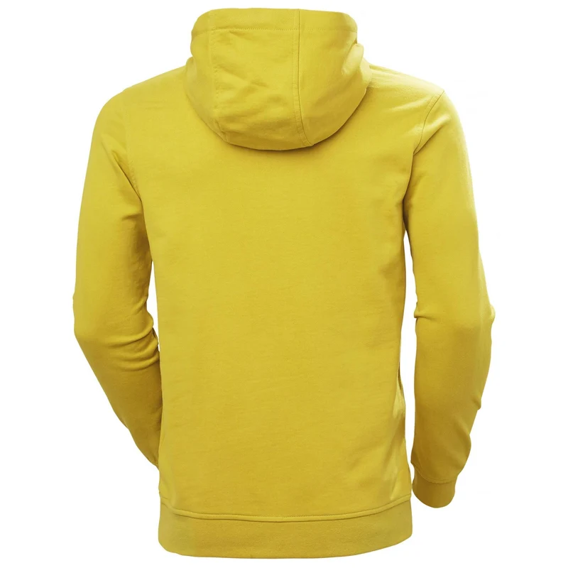 HH Helly Hansen Box Hoodie 53289 antique moss Herren Pullover Kapuzenpullover Sweater