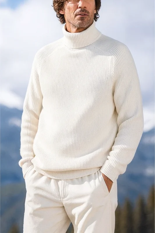 Eleganter Pullover für Herren, Rollkragen und vielseitig – Herrenpullover für Herbst und Winter
