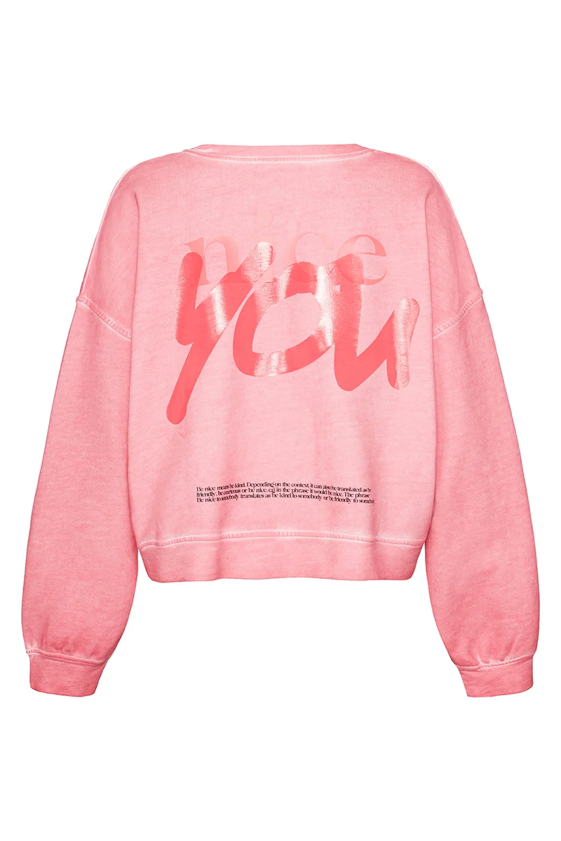 Sweater nice in flamingo