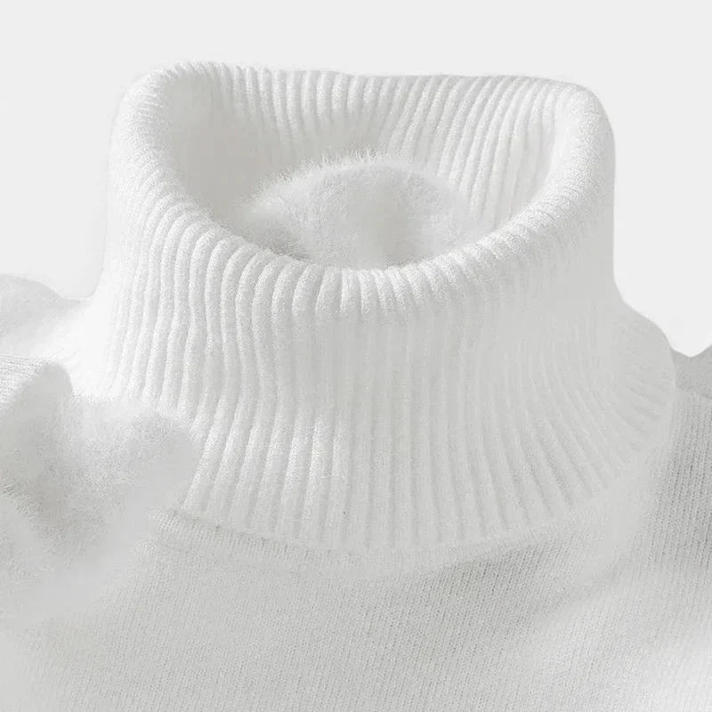 Herren Rollkragenpullover aus Wolle