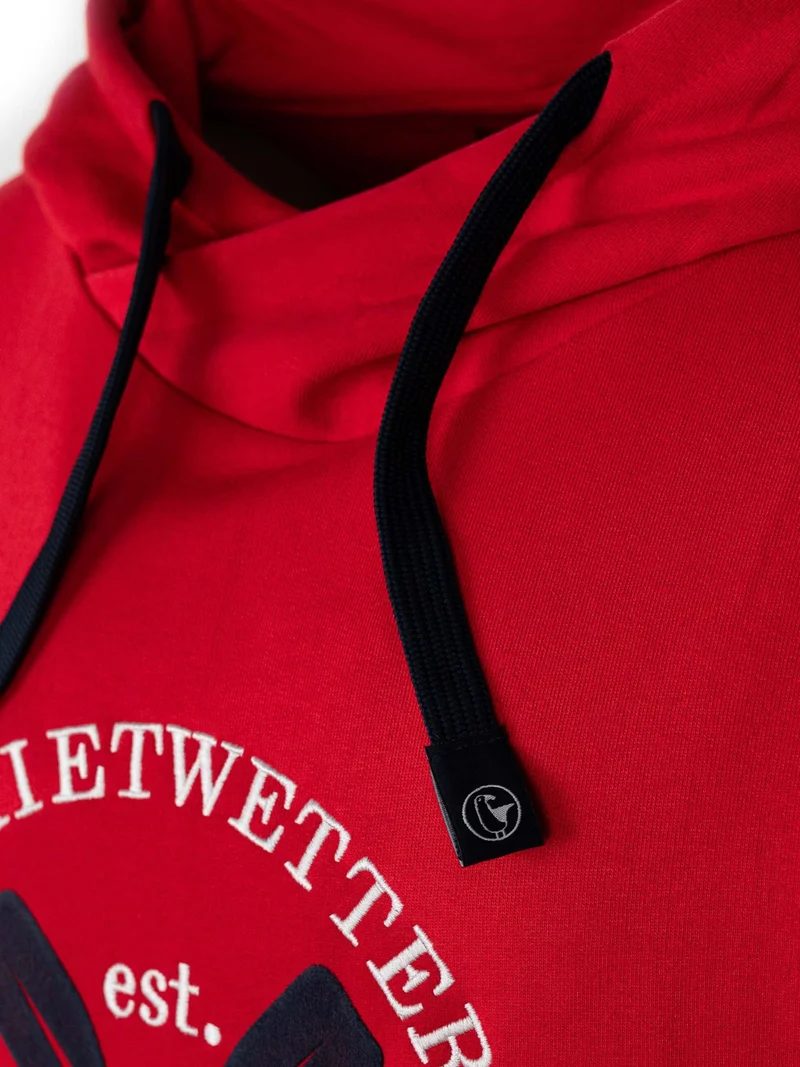 Hoodie Sweatshirt Alex