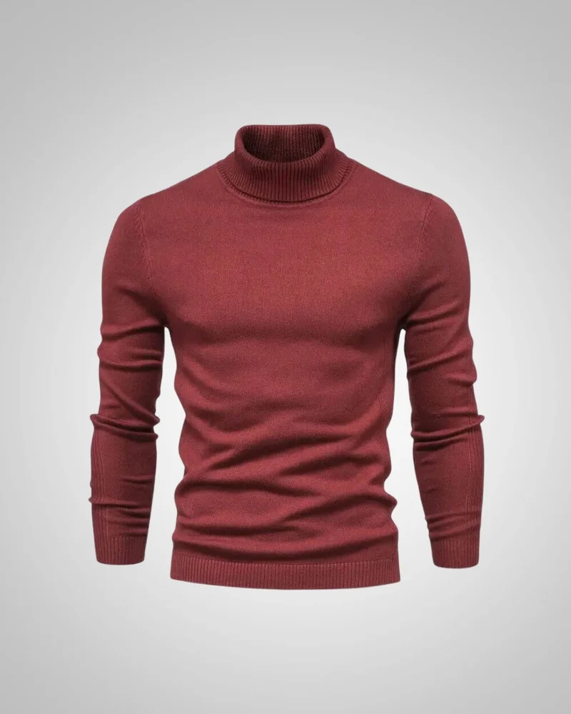 George | Herren Slim Fit Rollkragenpullover